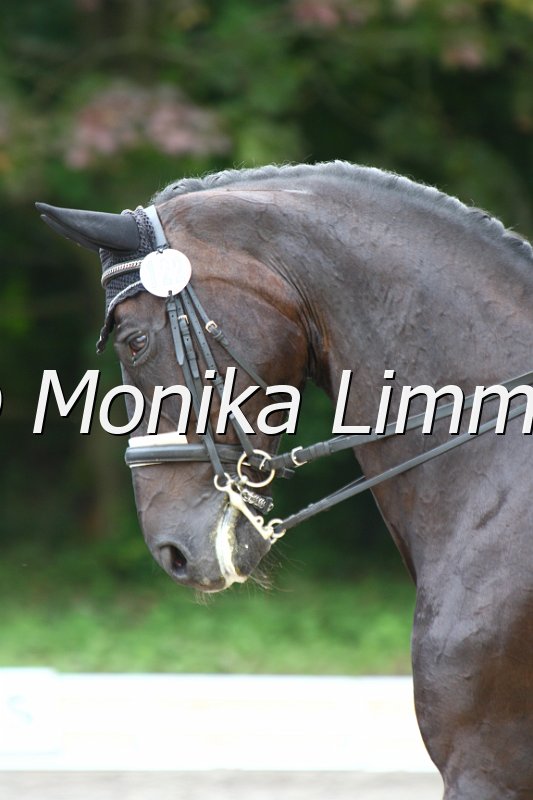 009M3792_Rossini_S_St. Georg.JPG